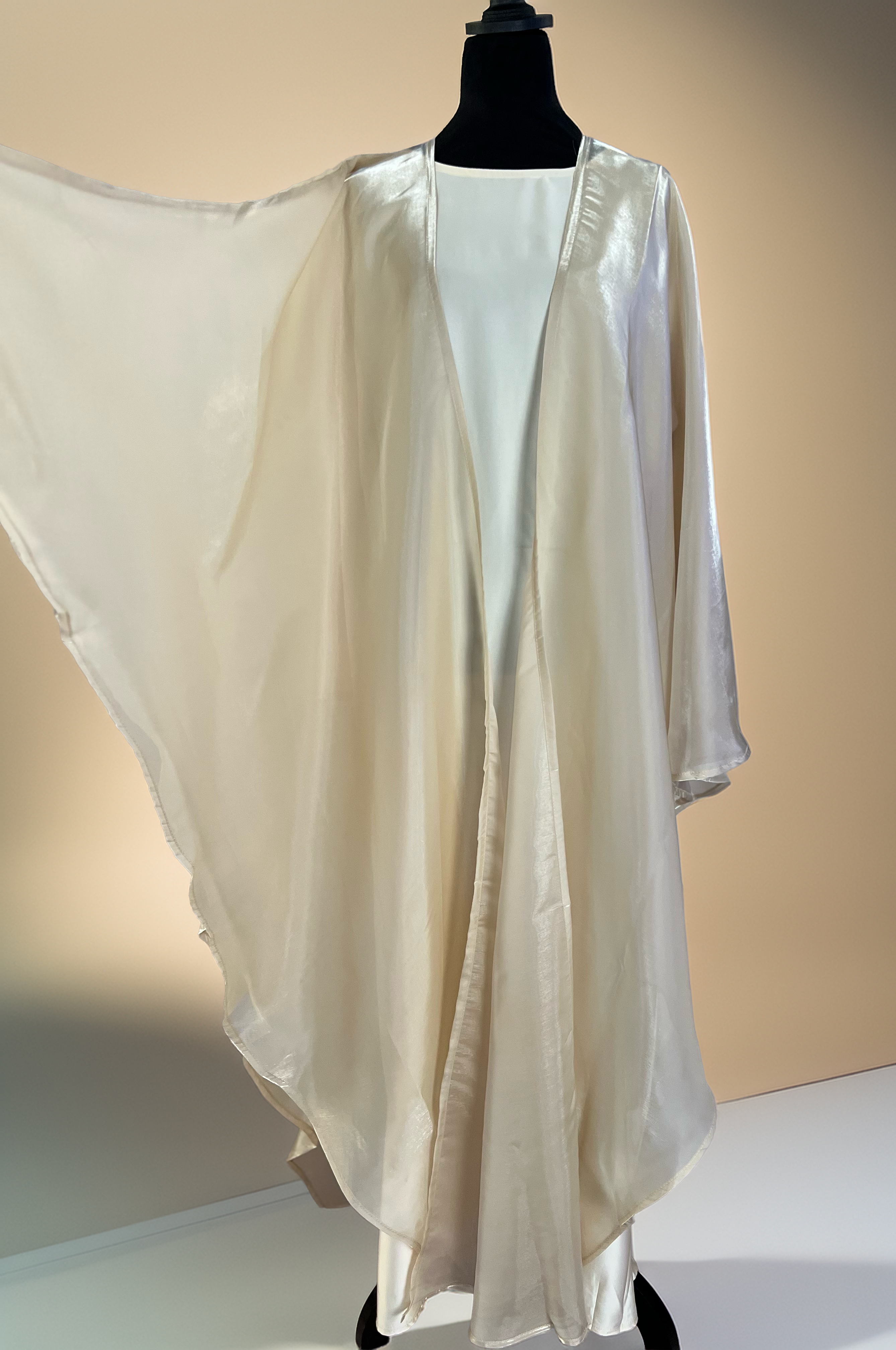 Luminous Beige Organza Butterfly Abaya